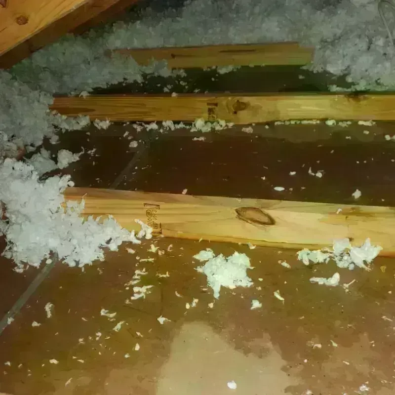 Attic Water Damage in Bourg, LA